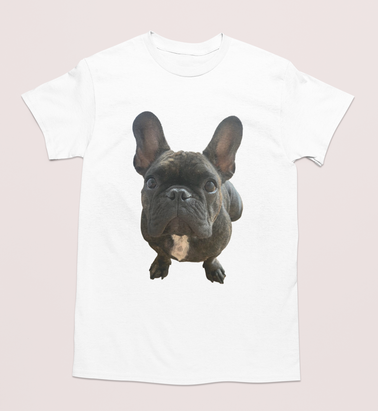 💖🐾 Personalizamos tu playera con la imagen de tu perrito y gatito🐾💖