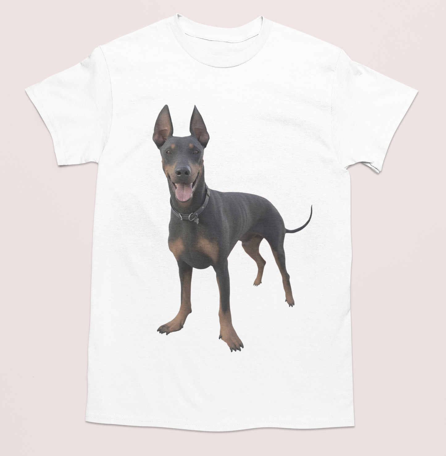 💖🐾 Personalizamos tu playera con la imagen de tu perrito y gatito🐾💖