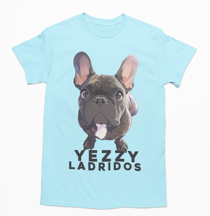 💖🐾 Estilo Dreamy anime para perrito y gatito🐾💖