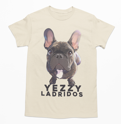 💖🐾 Estilo Dreamy anime para perrito y gatito🐾💖