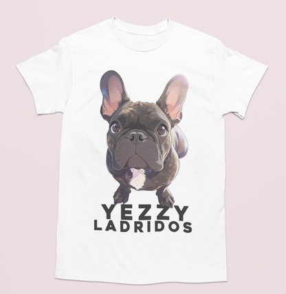 💖🐾 Estilo Dreamy anime para perrito y gatito🐾💖