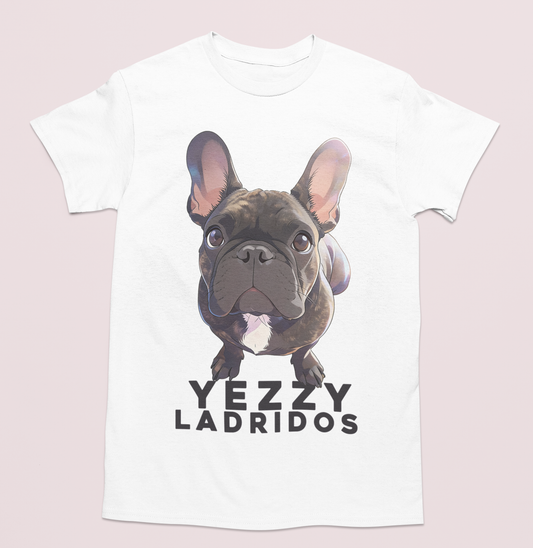 💖🐾 Estilo Dreamy anime para perrito y gatito🐾💖