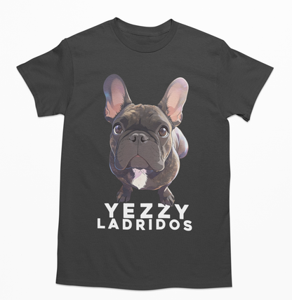 💖🐾 Estilo Dreamy anime para perrito y gatito🐾💖