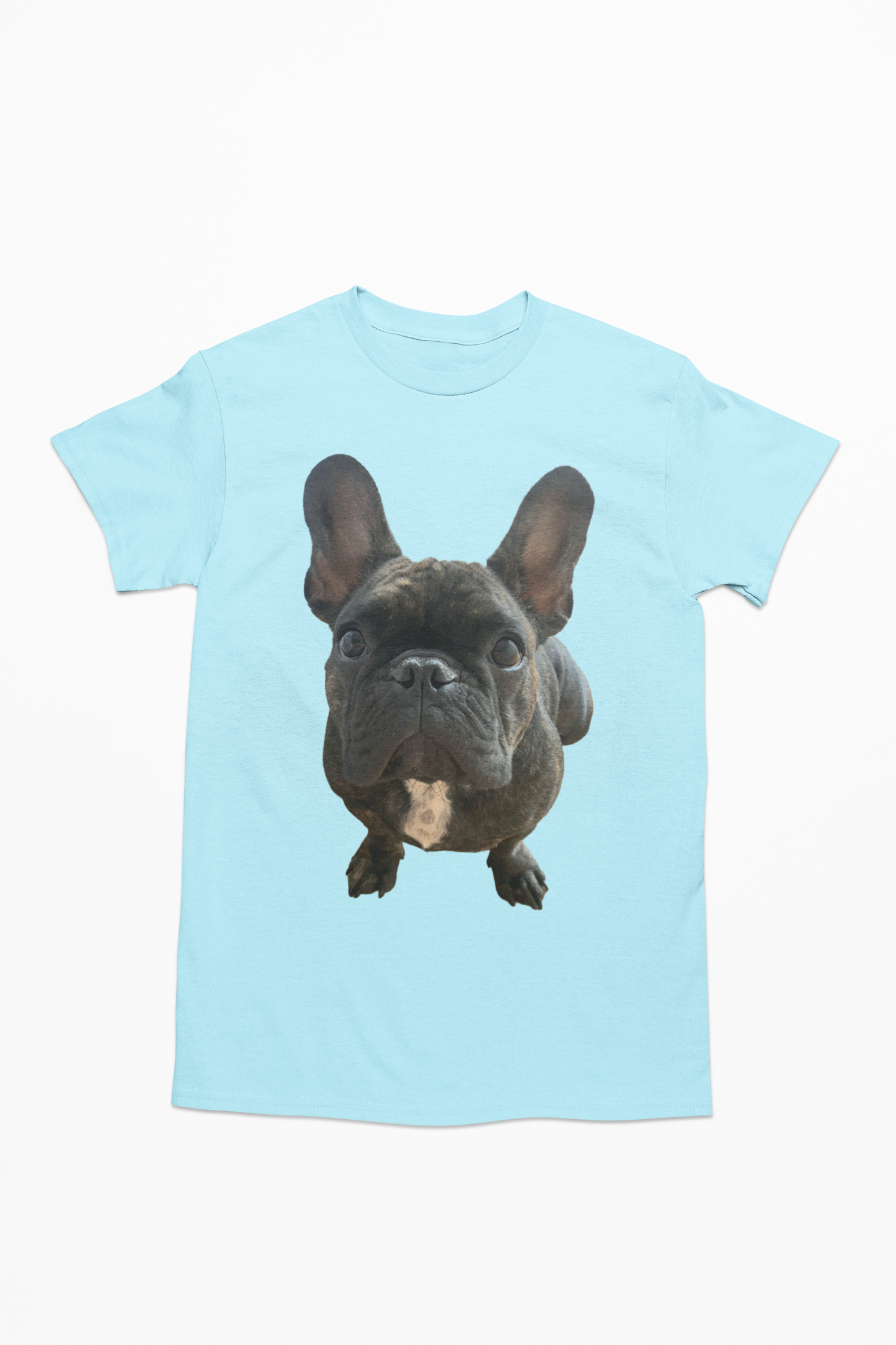 💖🐾 Personalizamos tu playera con la imagen de tu perrito y gatito🐾💖