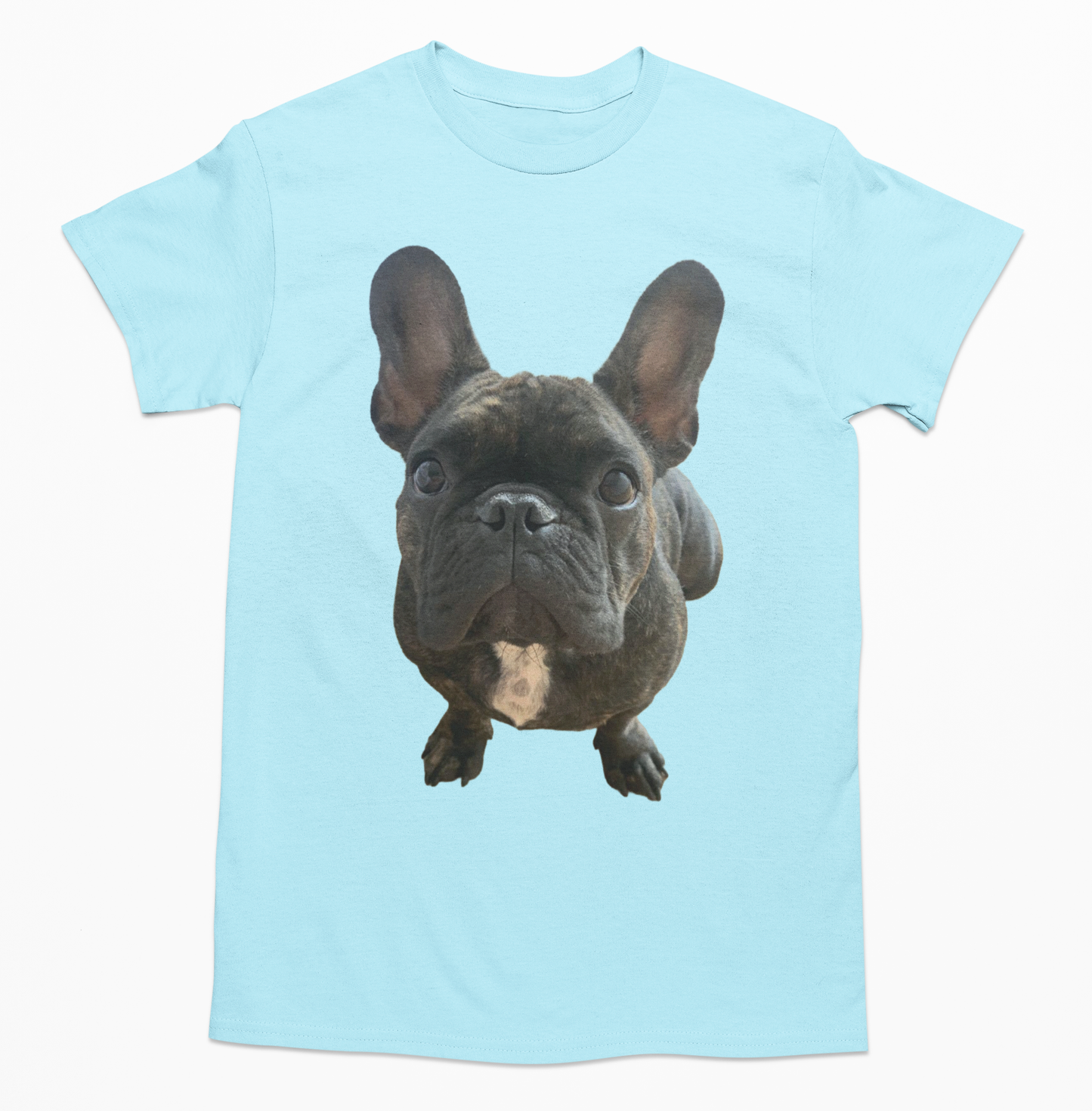 💖🐾 Personalizamos tu playera con la imagen de tu perrito y gatito🐾💖