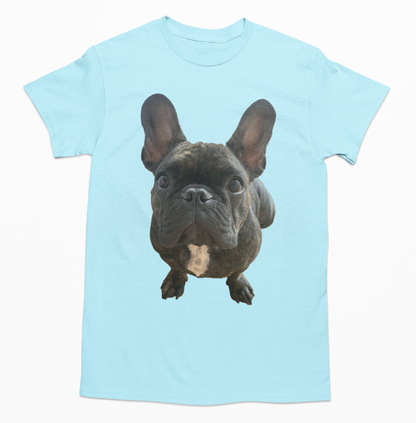 💖🐾 Personalizamos tu playera con la imagen de tu perrito y gatito🐾💖