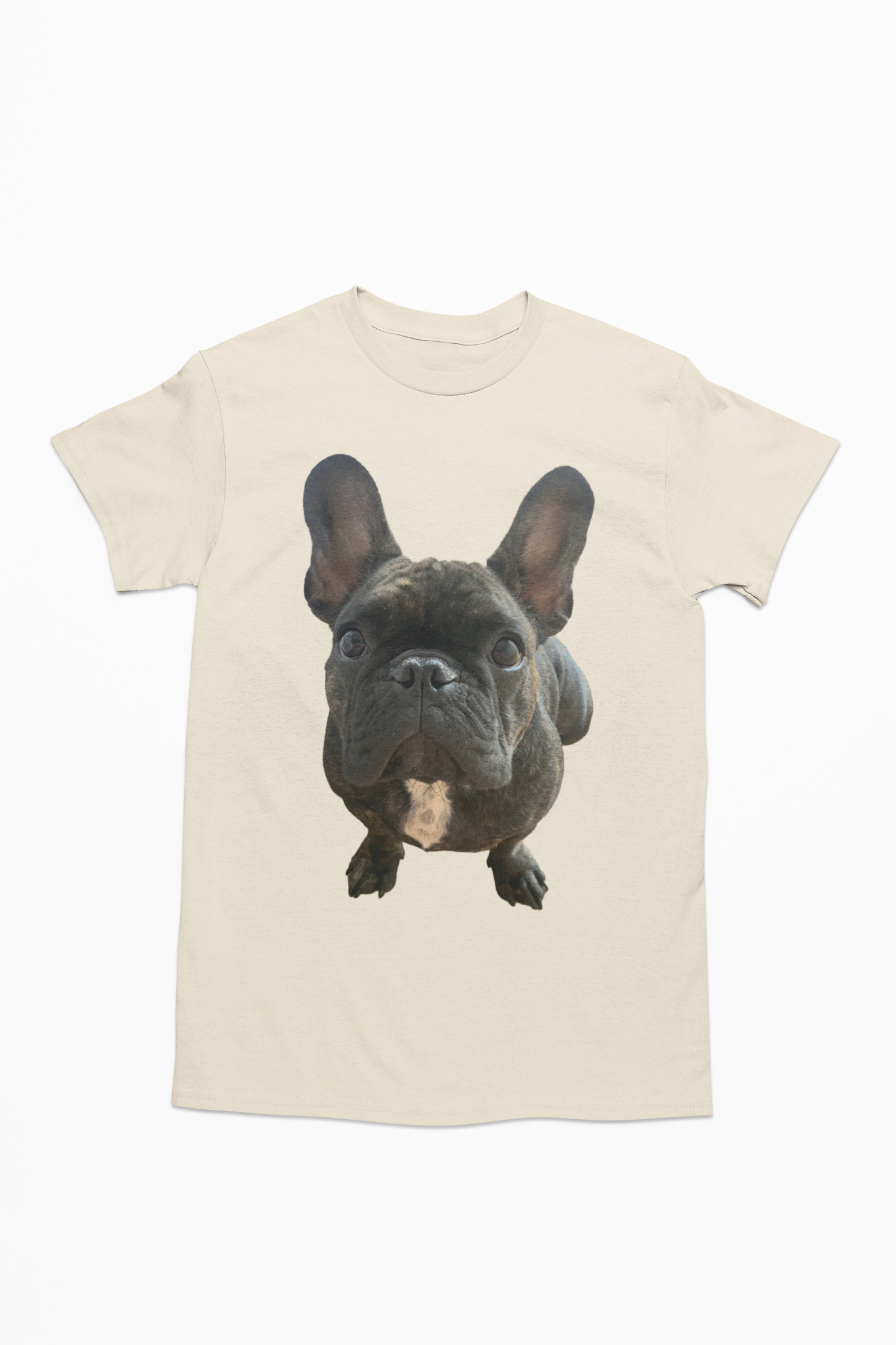 💖🐾 Personalizamos tu playera con la imagen de tu perrito y gatito🐾💖