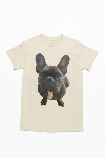 💖🐾 Personalizamos tu playera con la imagen de tu perrito y gatito🐾💖