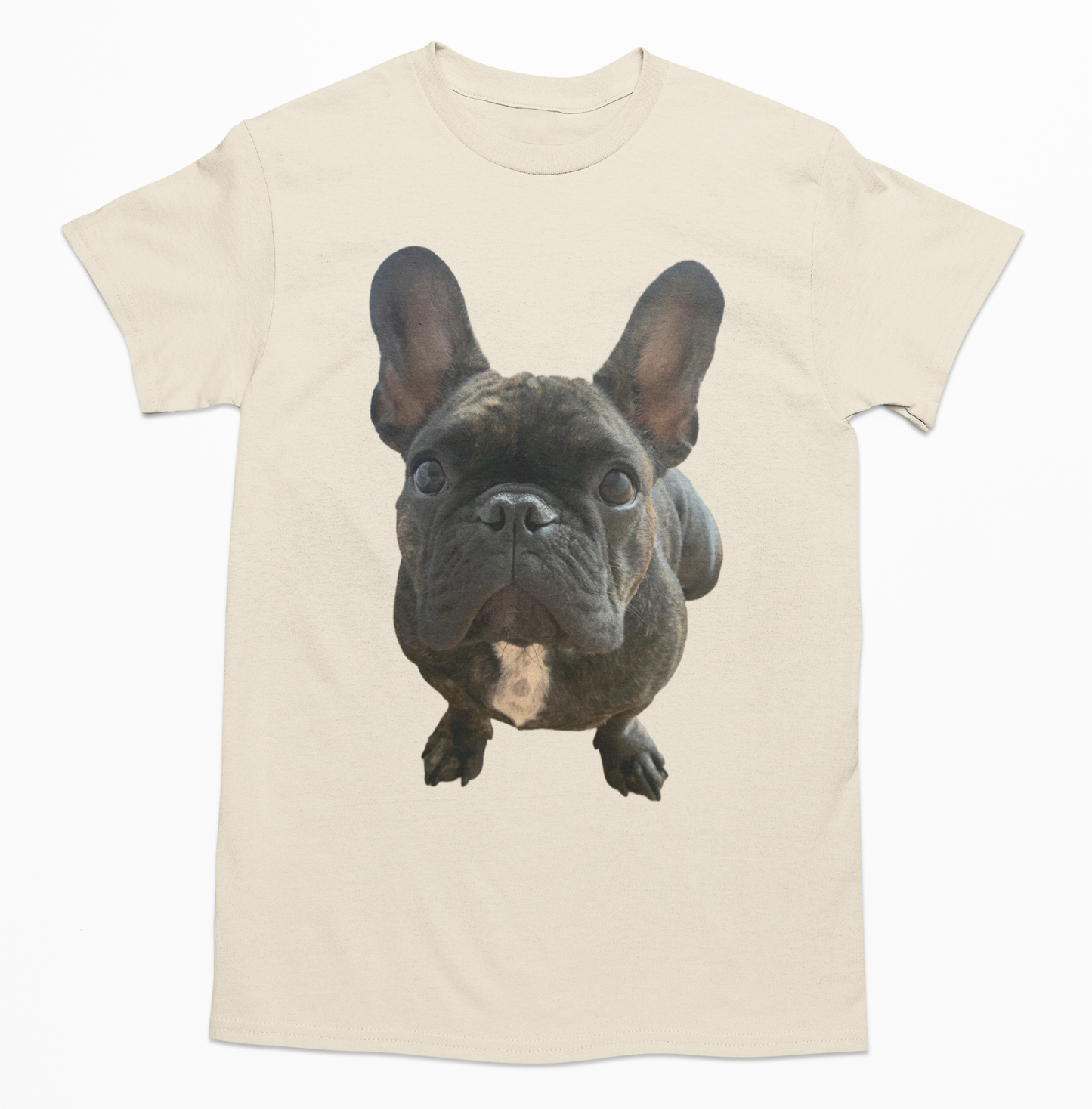 💖🐾 Personalizamos tu playera con la imagen de tu perrito y gatito🐾💖
