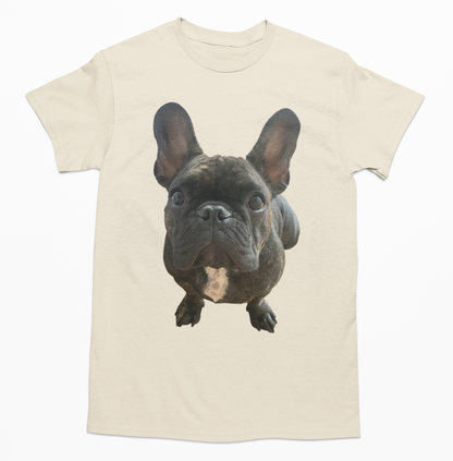 💖🐾 Personalizamos tu playera con la imagen de tu perrito y gatito🐾💖