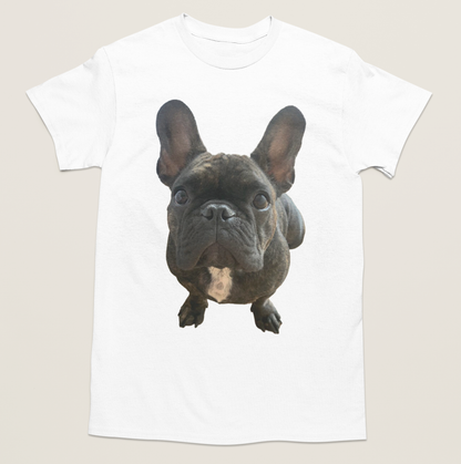 💖🐾 Personalizamos tu playera con la imagen de tu perrito y gatito🐾💖