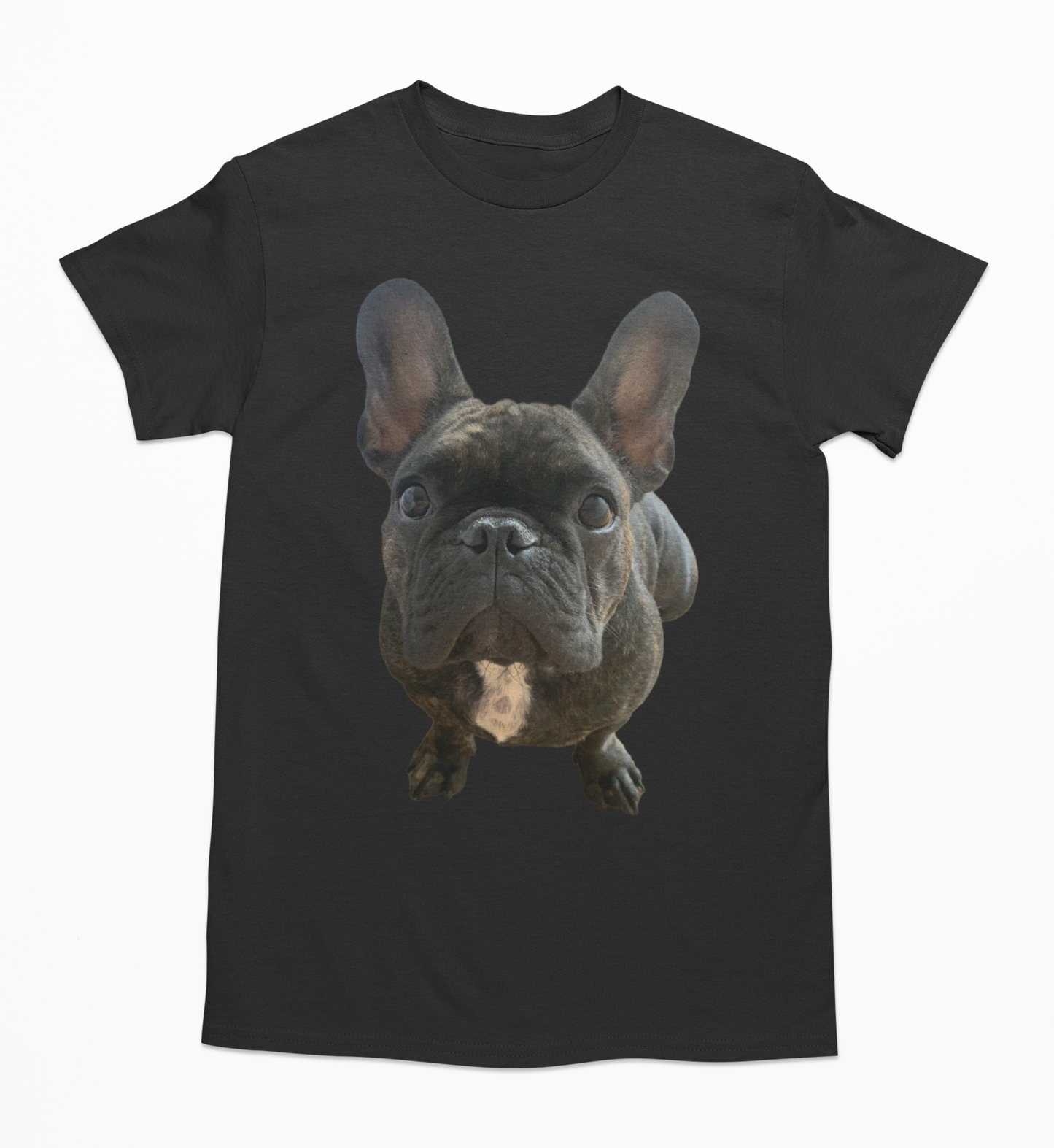 💖🐾 Personalizamos tu playera con la imagen de tu perrito y gatito🐾💖