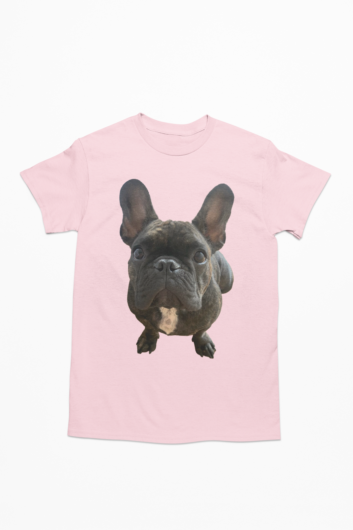💖🐾 Personalizamos tu playera con la imagen de tu perrito y gatito🐾💖