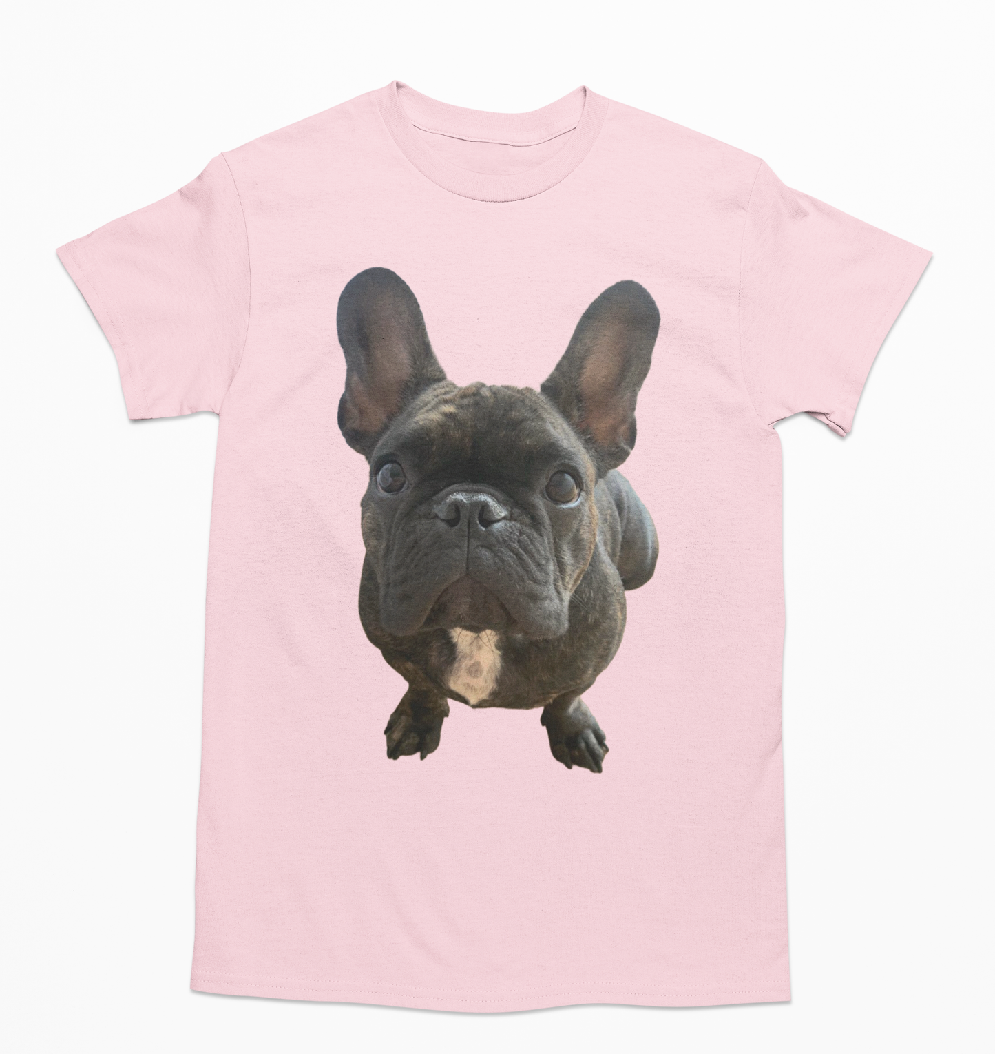 💖🐾 Personalizamos tu playera con la imagen de tu perrito y gatito🐾💖