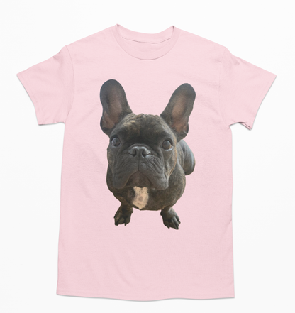💖🐾 Personalizamos tu playera con la imagen de tu perrito y gatito🐾💖